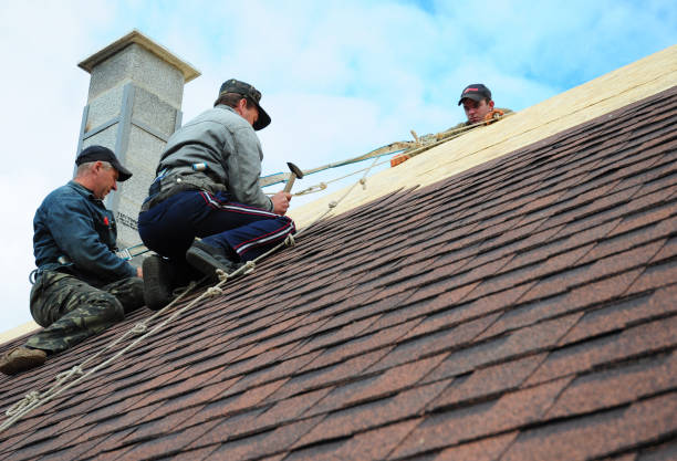 Best Residential Roofing Contractor  in Canutillo, TX